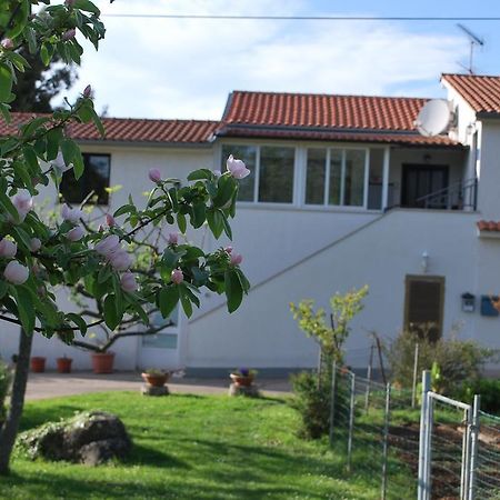 Apartment Rama Poreč Zewnętrze zdjęcie