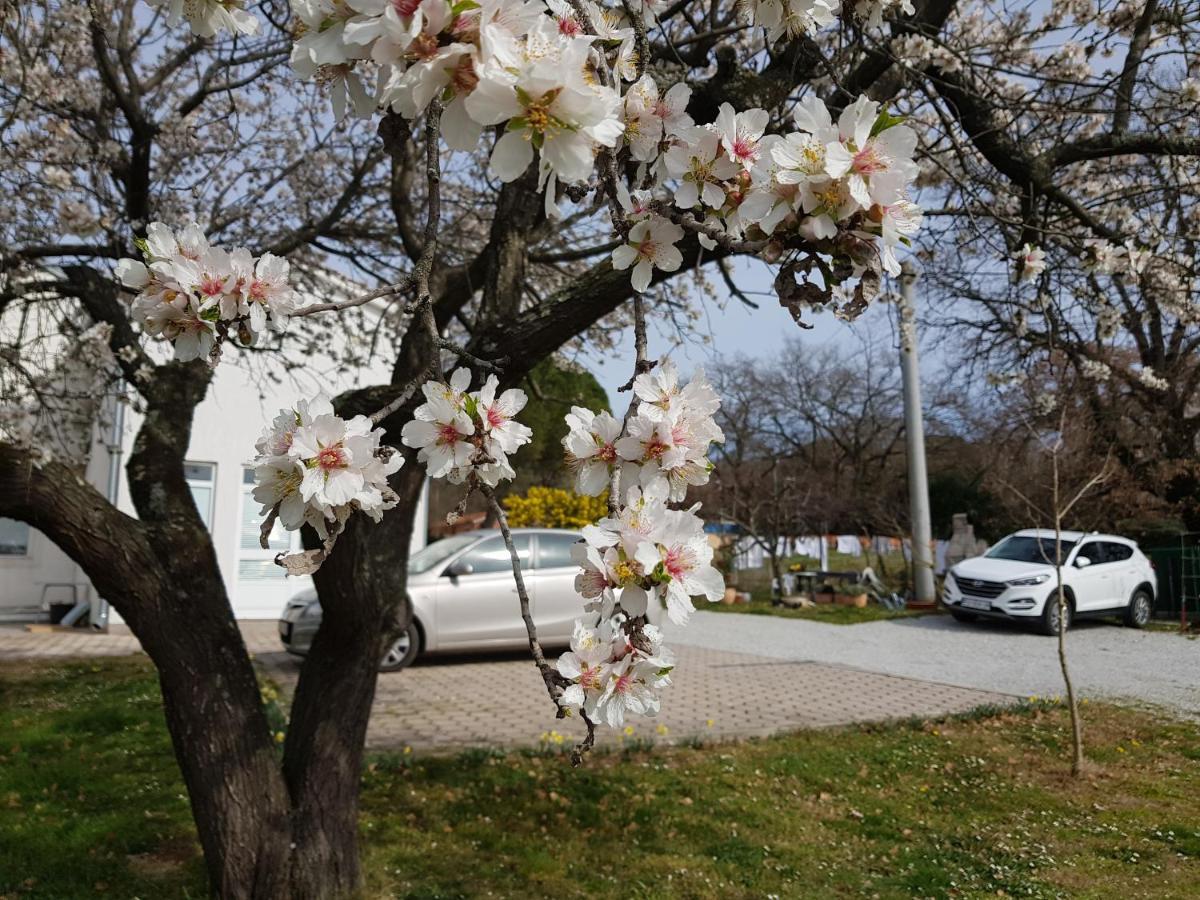 Apartment Rama Poreč Zewnętrze zdjęcie
