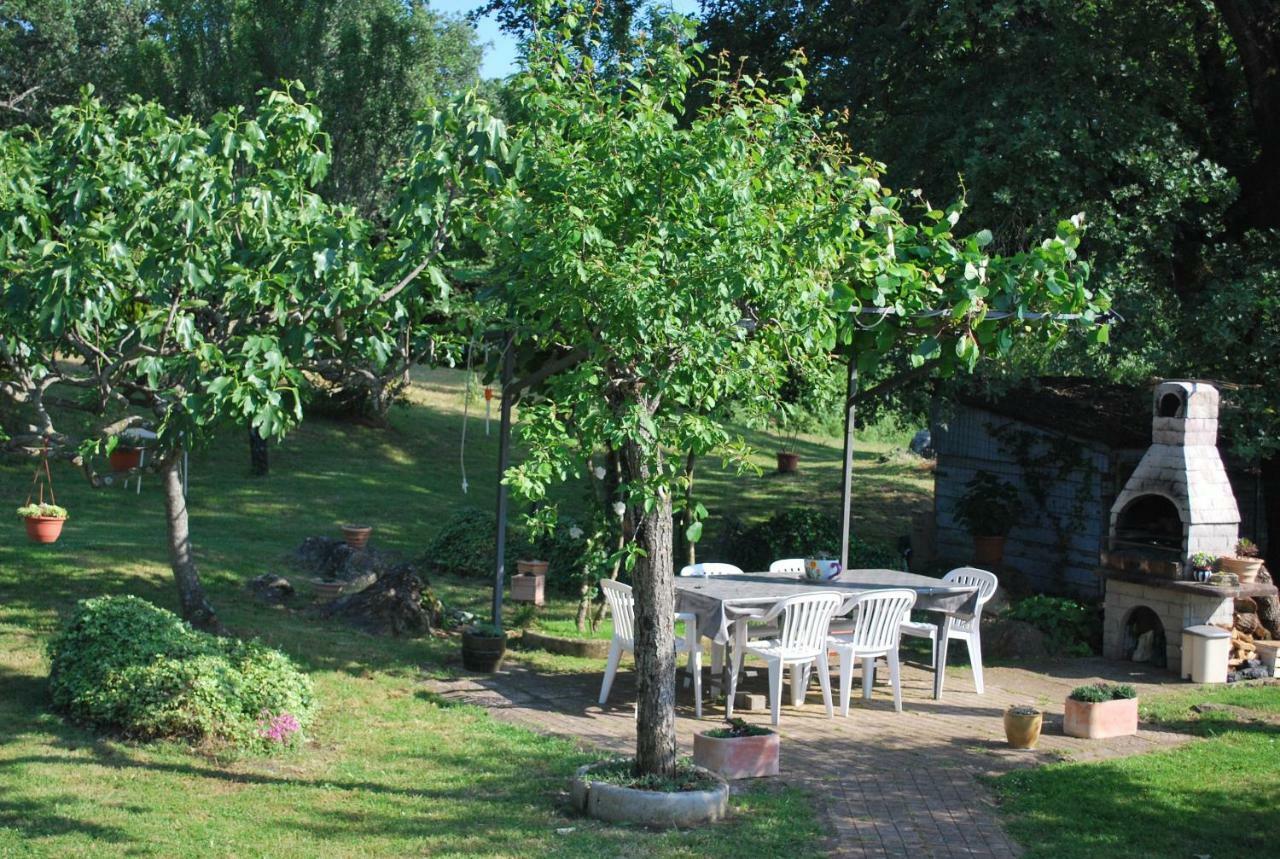 Apartment Rama Poreč Zewnętrze zdjęcie